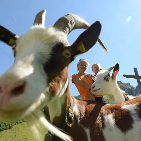 Otel Sporthotel Chalet 4*