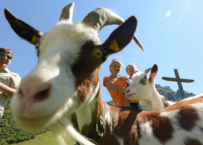 Hotel Sporthotel Chalet 4*